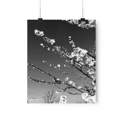 Cherry Blossom Premium Matte Print - Feel Bright