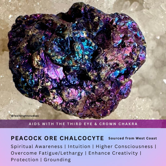 Peacock Ore Chalcocyte Tumbled Stones - Feel BrightPeacock Ore Chalcocyte Tumbled Stones