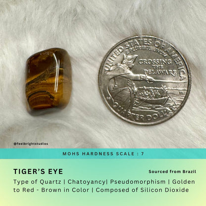 Tiger's Eye Mini Tumbled Stones - Feel BrightTiger's Eye Mini Tumbled Stones